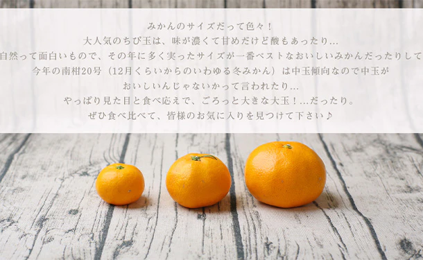 愛媛県産「吉田みかん（L～3L）」5kg - Image 6