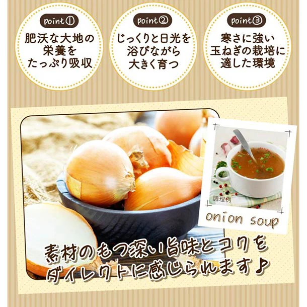 「北海道オニオンスープ しょうが風味」6g - Image 6