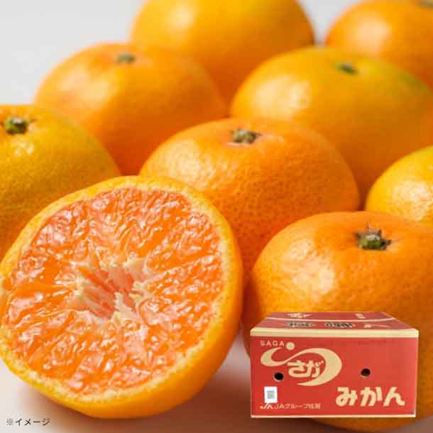 佐賀県産「唐津みかん S～3Lサイズ」5kg - Image 2
