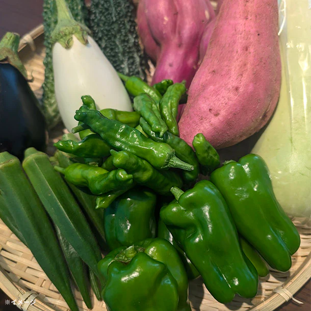 「旬の房総野菜詰め合わせ」60サイズ箱セット - Image 2