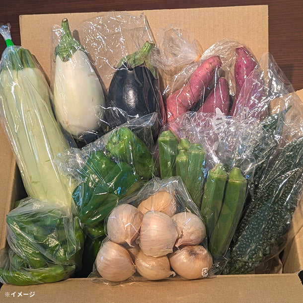 「旬の房総野菜詰め合わせ」60サイズ箱セット - Image 3