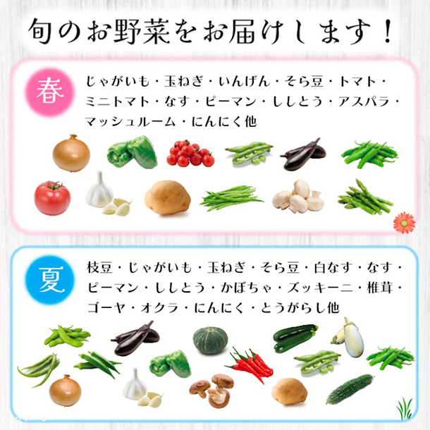 「旬の房総野菜詰め合わせ」60サイズ箱セット - Image 4
