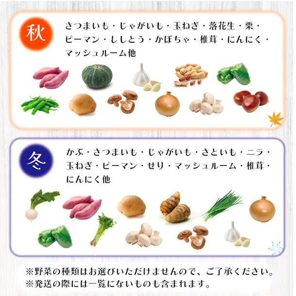 「旬の房総野菜詰め合わせ」60サイズ箱セット - Image 5