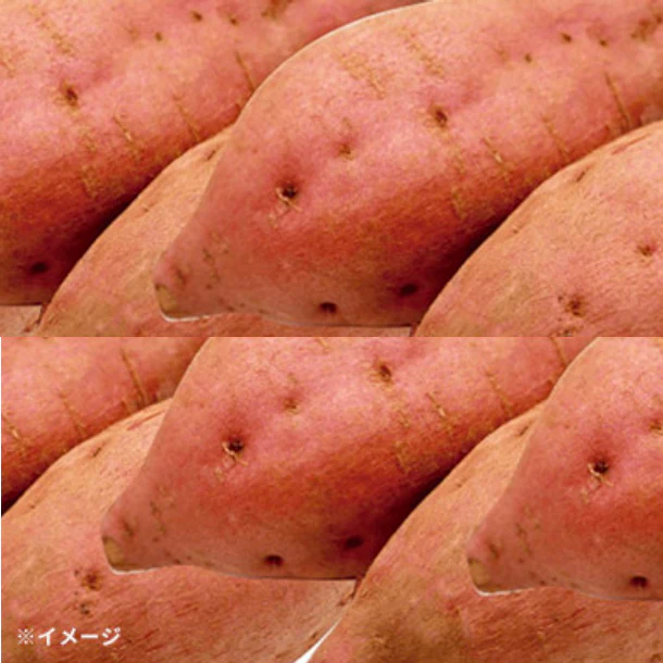 「房総野菜 安納芋」約2kg - Image 2