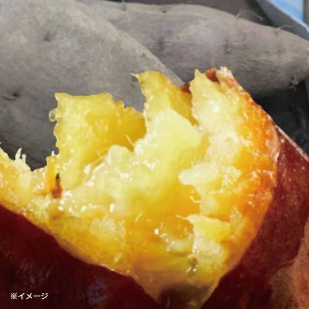 「房総野菜 紅はるか」約2kg - Image 2