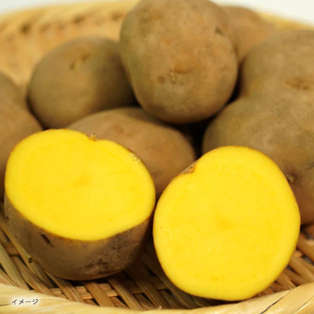 「箱いっぱい インカのめざめ」約2kg