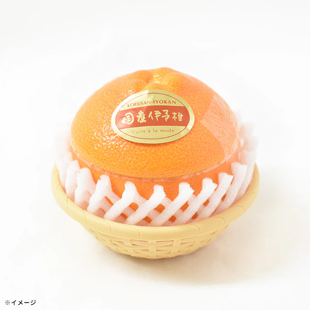 「フルーツアラモード 国産伊予柑」 - Image 2