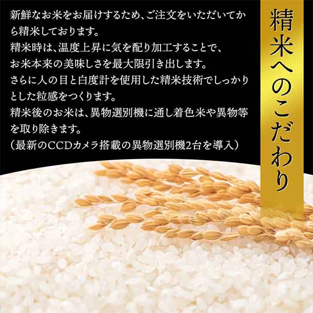 令和7年産「雪若丸」5kg - Image 5