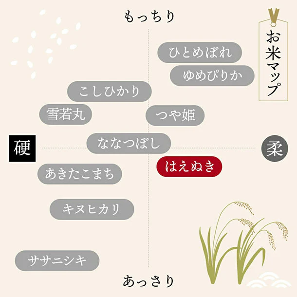 令和6年産「はえぬき 無洗米」5kg - Image 4