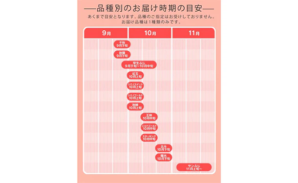 山形県産「訳ありりんご」約10kg（28～56玉） - Image 5