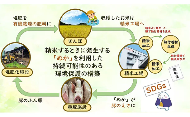 全農パールライス「無洗米パールライスのお米」5kg - Image 6