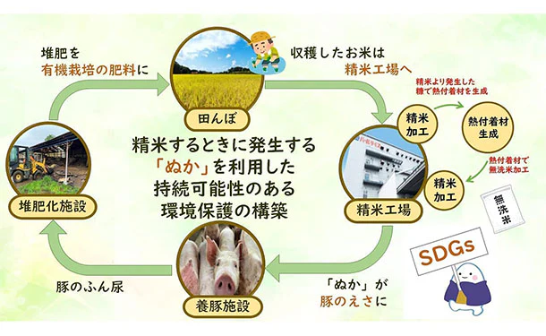 全農パールライス「無洗米福島県産天のつぶ」5kg - Image 5