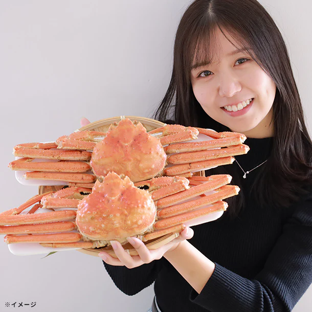 【Kuradashiオリジナル】北海道産 ボイルオオズワイガニ姿 約4kg（8杯） - Image 2