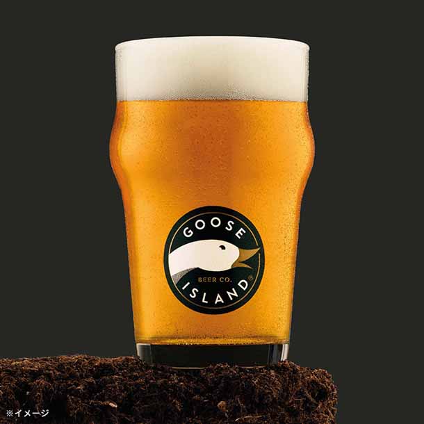 「グースアイランド ダックダックグース Session IPA」330ml - Image 2