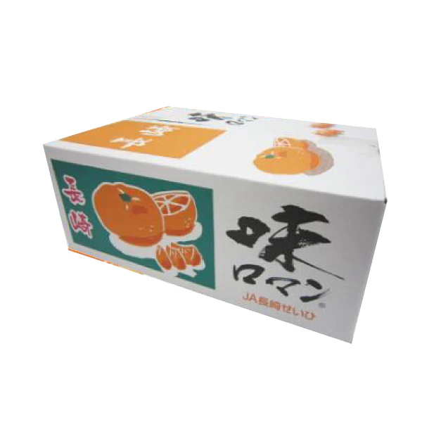 長崎県産「高濃度みかん 味ロマン」4kg - Image 4