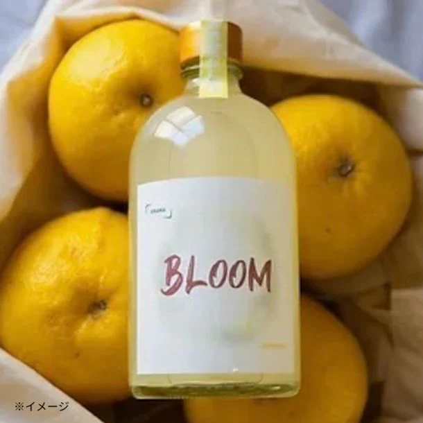 「BLOOMクラフトサケ」500ml - Image 2