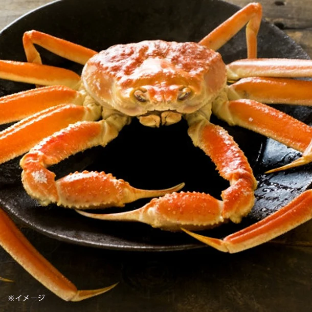 「Kuradshi10周年限定 肉＆海鮮福袋 計10品」 - Image 22