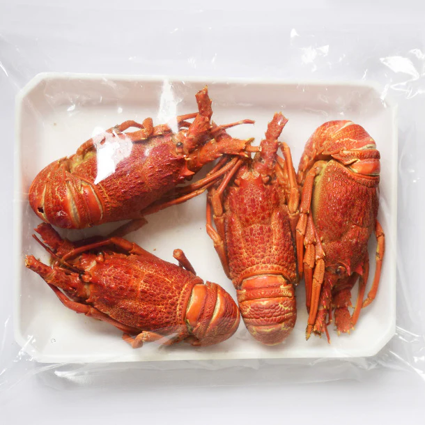 「ロブスター（味付）」4尾入 - Image 3