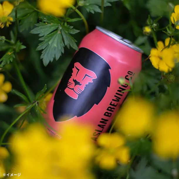 Aslan Brewing「Cosmic Dreams Organic Hazy IPA」355ml - Image 2