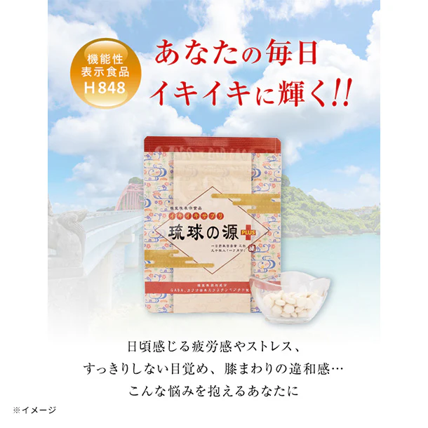 「琉球の源PLUS」90粒 - Image 2