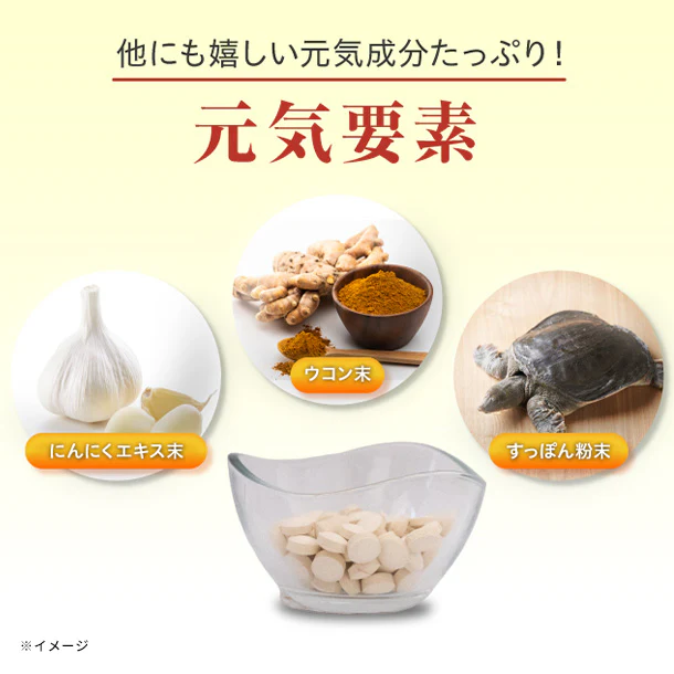 「琉球の源PLUS」90粒 - Image 4