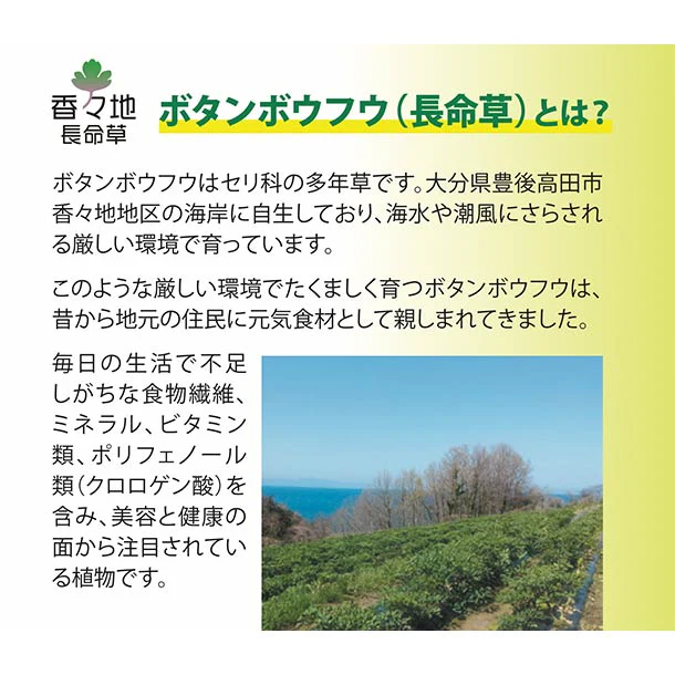 「長命草のチカラ」190g - Image 3