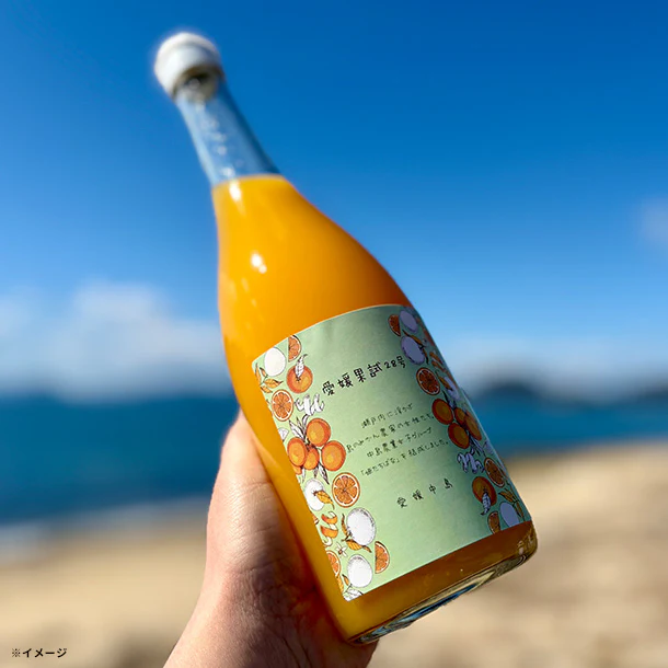 愛媛県産「愛媛果試28号（紅マドンナ）のみを絞ったみかんジュース」720ml×2本【クラチャレふるさとだより】 - Image 2