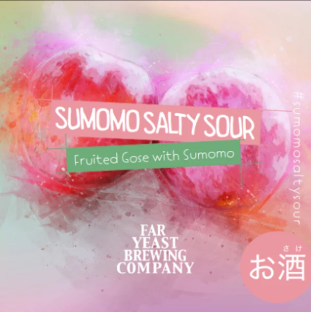 Far Yeast Brewing「Sumomo Salty Sour」350ml - Image 3