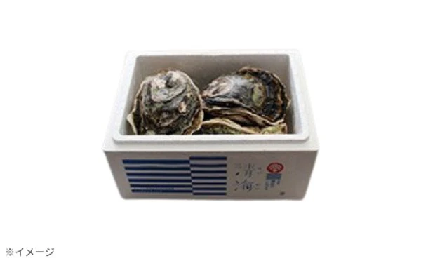 「隠岐のいわがき 清海 Lサイズ」8個セット【クラチャレふるさとだより】 - Image 3