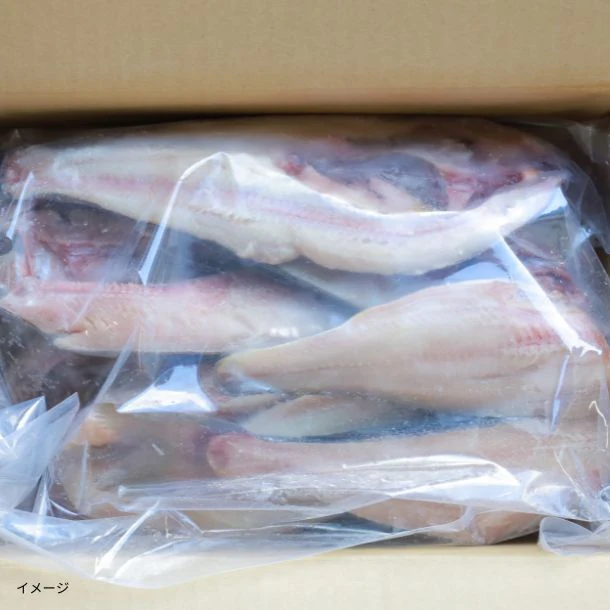 【Kuradashiオリジナル】わけあり干物 真ほっけ＆縞ほっけ 1.8kg - Image 2