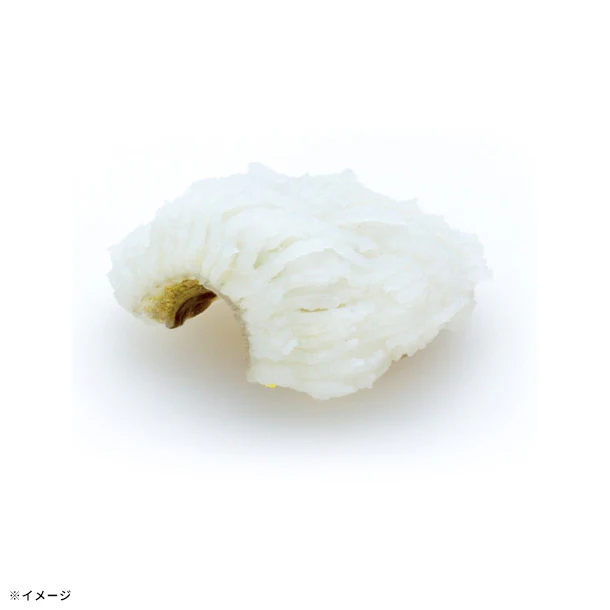 「はも湯引き」500g - Image 4