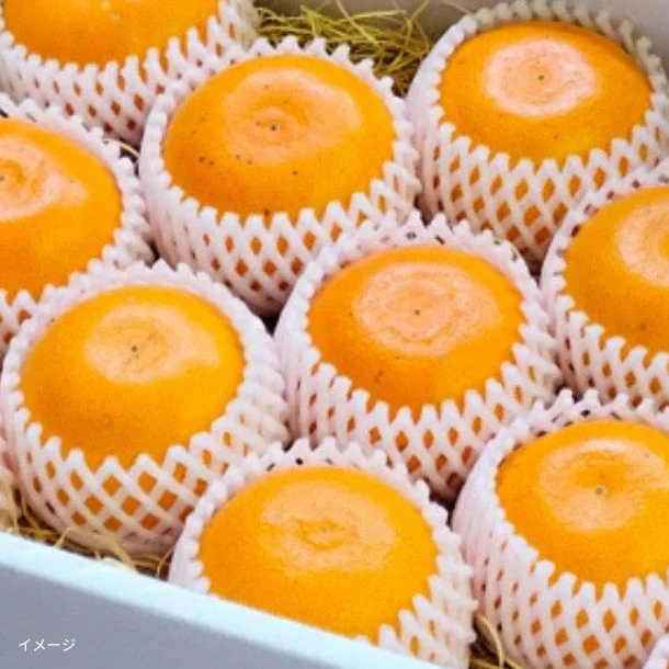「特撰 せとか」約2kg - Image 2