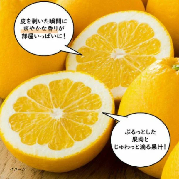 熊本県産「ジューシーオレンジ（河内晩柑）」約4kg（10～15玉） - Image 2