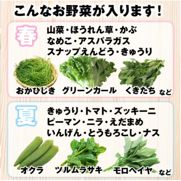 「山形市場厳選！野菜セット7品目（おまけ付）」 - Image 2