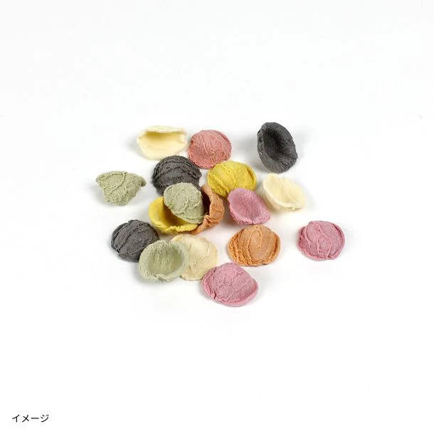 Padonni「パスタ オレッキエッテ」500g - Image 2
