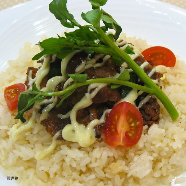 ハウス「スパイスライス ガーリックライス用（レストラン用）」260g - Image 2