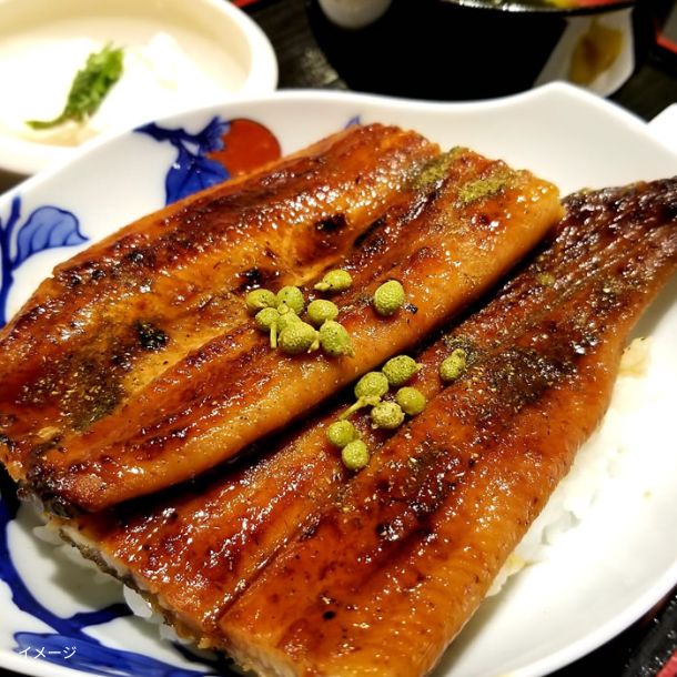 「国産うなぎ蒲焼」5尾 - Image 2