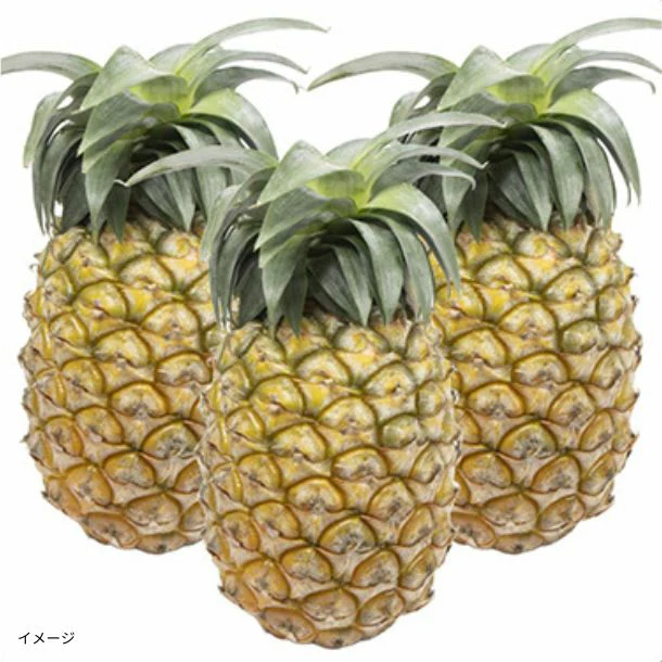 石垣島産「島パイン・ハワイ種（1～2玉）」約1kg【クラチャレふるさとだより】 - Image 2
