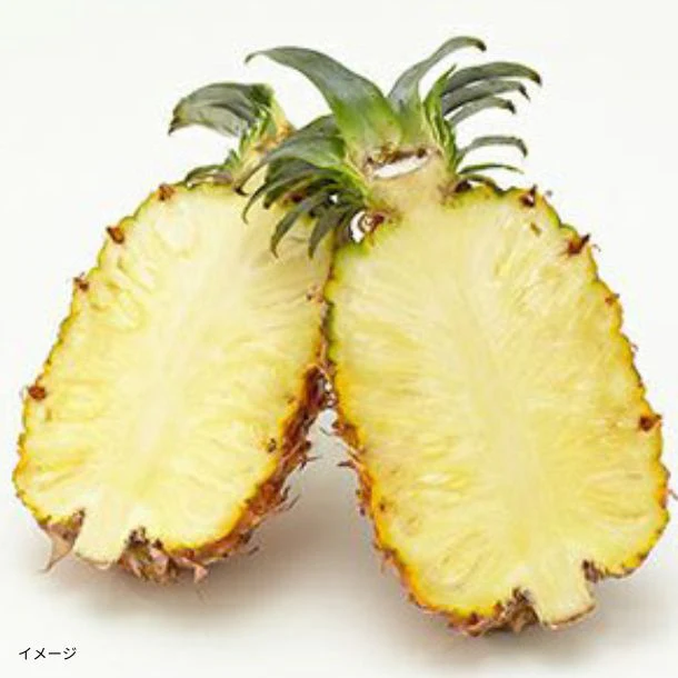 石垣島産「島パイン・ハワイ種（1～2玉）」約1kg【クラチャレふるさとだより】 - Image 3