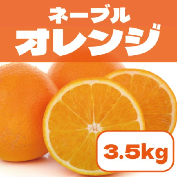 「豊洲市場発 ネーブルオレンジ」3.5kg - Image 2