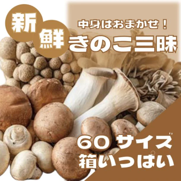 「何が入るかはお楽しみ こだわりの鮮度抜群きのこ三昧」 - Image 2
