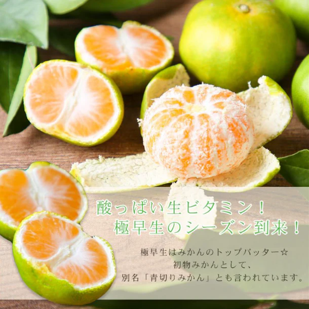 愛媛県産「極早生吉田みかん（中玉）」5kg - Image 2