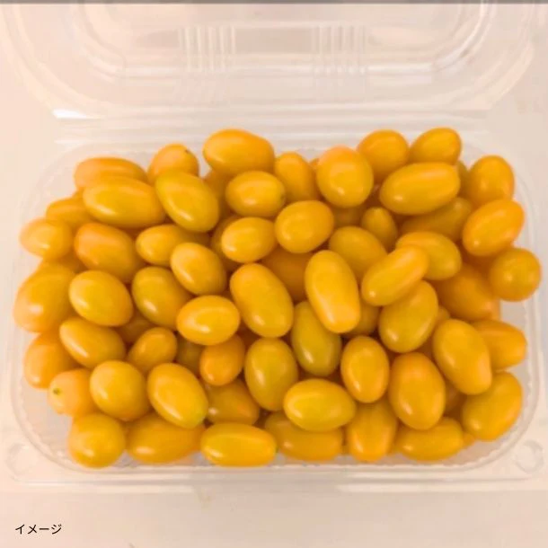千葉県木更津産「無農薬・化学肥料不使用 ブランドトマト ナポリターナカナリア」700g - Image 3