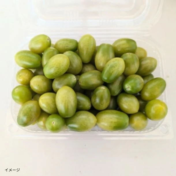 千葉県木更津産「無農薬・化学肥料不使用 ブランドトマト サリーナエメラルド」1kg - Image 3