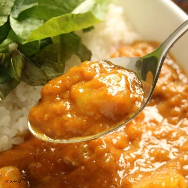 「DMVカレー 130g」2袋入 - Image 3