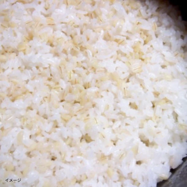 岡山県産「もち麦 フクミファイバー」1kg - Image 2