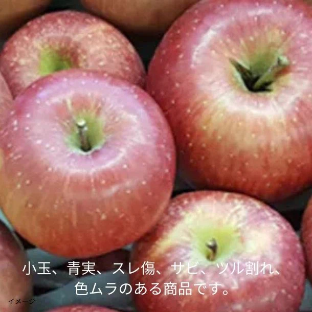 青森県「旬のりんご福箱（数品種・無選別）」約5kg - Image 3