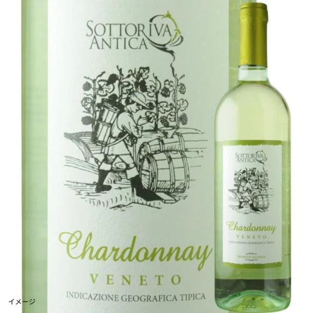 イタリア産 白「ソットリーヴァ・シャルドネ」750ml - Image 4