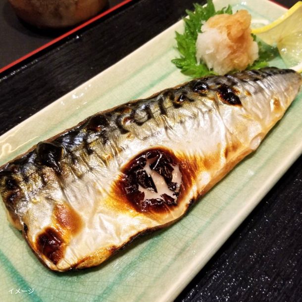 「骨取済み 無塩 トロさばフィーレ」2kg - Image 2