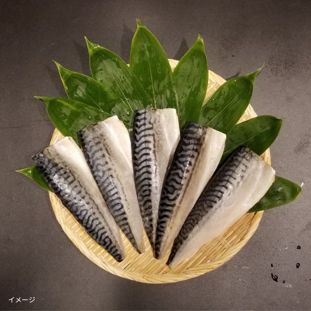 「骨取済み 無塩 トロさば＆縞ほっけフィーレ 各1kg」計2kg - Image 2